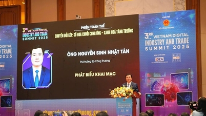 הכלכלה הדיגיטלית של וייטנאם עשויה להגיע ל-39 מיליארד דולר עד 2025