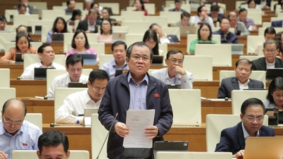 As localidades com altas taxas de implementação das recomendações de auditoria pendentes devem apresentar relatórios periodicamente.