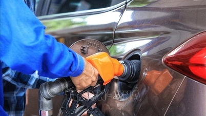 Chuyển đổi kinh doanh xăng E10, từ khuyến khích sang chuẩn hóa bắt buộc