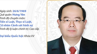 Informasi tentang Sekretaris Partai Provinsi Quang Ninh Quan Minh Cuong