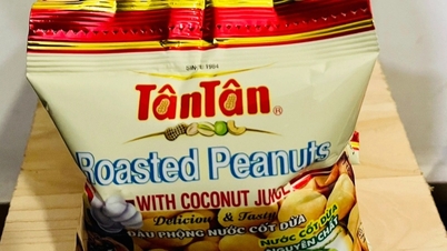 Профіль компанії з виробництва арахісу Tan Tan