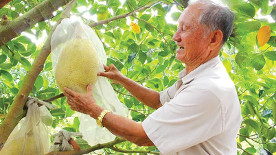 Empfindlich gegenüber Produktionsänderungen, um reich zu werden