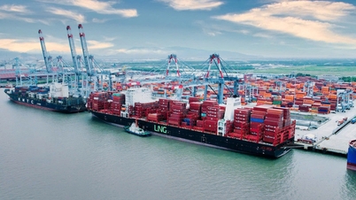 प्रस्ताव 98 में संशोधन और अनुपूरक: मुक्त व्यापार क्षेत्रों से आर्थिक सफलता