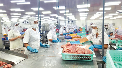 To make Vietnamese goods confidently "Go Global"