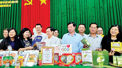 Inrättande av råd, rådgivande nämnd för att utvärdera och klassificera OCOP-produkter