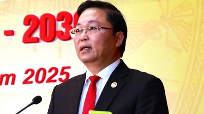 Bapak Le Tri Thanh menjabat sebagai Ketua Komite Front Tanah Air Vietnam Kota Da Nang.