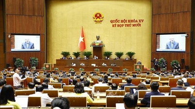 Este necesară reglementarea promptă a conflictelor sociale prin intermediul sistemului juridic.