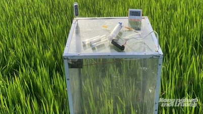 A Quang Tri rizstermesztők a szén-dioxid-kibocsátási kvóta piacára támaszkodnak öntözés céljából.