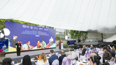 障害者の社会保障の強化と持続可能な雇用の促進