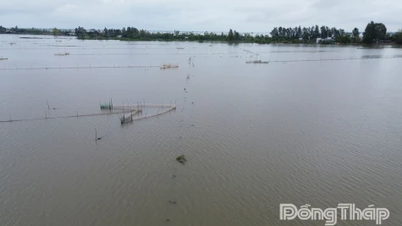 Het waterpeil in het stroomopwaartse gebied van Dong Thap blijft de komende dagen dalen