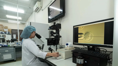 សាកលវិទ្យាល័យជាតិទីក្រុងហូជីមិញជ្រើសរើសអ្នកវិទ្យាសាស្ត្រ 'វរជន' ចំនួន 20 នាក់ជាសាស្ត្រាចារ្យ