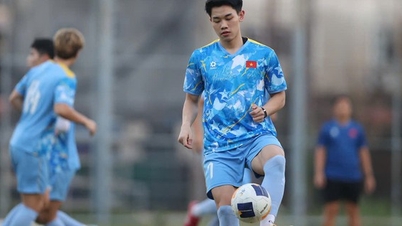 משחקי SEA 33: ציפיות לכישרון Nghe An עד גיל 22