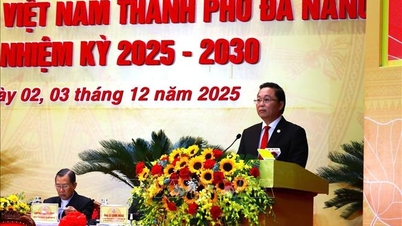 นายเล ตรี แทงห์ ดำรงตำแหน่งประธานคณะกรรมการแนวร่วมปิตุภูมิเวียดนามประจำเมืองดานัง