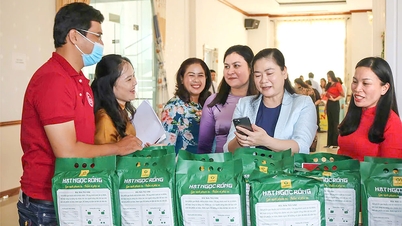 सहकारी समितियों और उद्यमों के बीच प्रभावी संबंधों को बढ़ावा देना