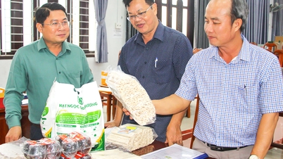 पूरे प्रांत में 1,125 OCOP उत्पाद हैं