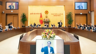 'Chốt' bổ sung thẩm quyền cho công an xã được kiểm tra môi trường, an toàn thực phẩm