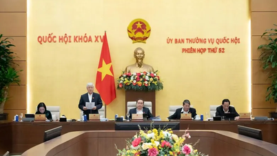 専門裁判所の裁判官には外国人が就任する可能性があると予想される。