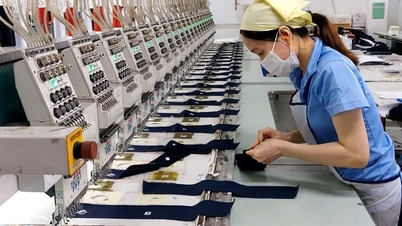 Good news about salary policy from January 1, 2026