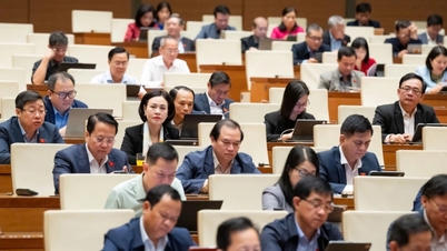 총리는 비상사태 시 사법 외 조치를 취할 권리가 있습니다.