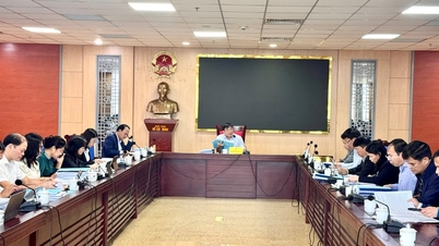 Komite Ekonomi - Anggaran meninjau Resolusi, program dan proyek di bidang ekonomi untuk diajukan pada rapat pada akhir tahun 2025.