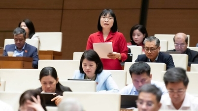 قومی اسمبلی کے مندوبین نے کراس اونر شپ اور بینکوں میں ہیرا پھیری پر قابو پانے کے بارے میں سوالات اٹھائے۔