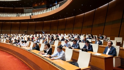 A Assembleia Nacional apontou uma série de entraves que afetam a vida das pessoas.