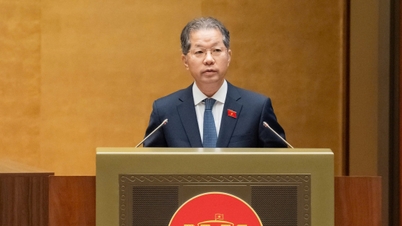 ສານ​ໄດ້​ແກ້​ໄຂ​ຫຼາຍ​ກວ່າ 96% ຂອງ​ຄະດີ​ກ່ຽວ​ກັບ​ທີ່​ດິນ.