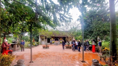 „Flicken“ von Schlupflöchern im Management des Denkmalschutzes