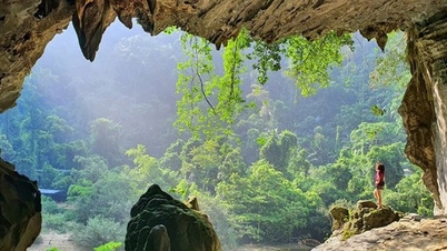 Giữ rừng nơi cửa ngõ di sản Phong Nha-Kẻ Bàng