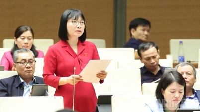 قومی اسمبلی کے مندوب: سونے کی قیمت میں اتار چڑھاؤ کو میکرو اکنامک استحکام متاثر نہ ہونے دیں۔