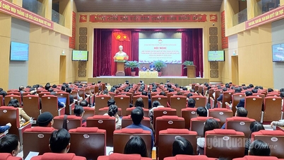 عقدت اللجنة الإقليمية لجبهة الوطن الفيتنامية أول مشاورة بشأن العمل الانتخابي