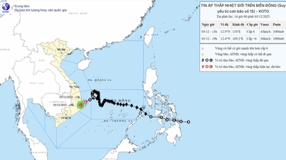La dépression tropicale change de direction, les rafales atteignent le niveau 8 et se déplacent rapidement au-dessus de la mer de Dak Lak - Khanh Hoa.