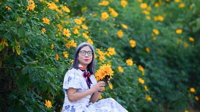 Vườn dã quỳ giữa lòng Hà Nội thu hút người dân 'check in' dịp đầu đông