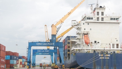 הכנסות התקציב של דא נאנג ב-11 חודשים הגיעו לכמעט 55 טריליון וונד