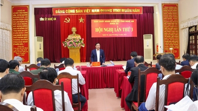 សន្និបាតលើកទី៣ គណៈកម្មាធិការប្រតិបត្តិបក្សខេត្ត អាណត្តិទី២០