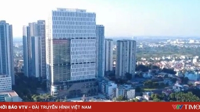 हनोई कार्यालय बाजार में नए रुझान