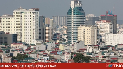 수도권 개발에 기여하는 중요사업을 위한 특별제도