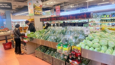 Di tengah-tengah kemuncak kenaikan harga sayur-sayuran, WinMart menjual sayur-sayuran pada harga yang tidak menguntungkan.