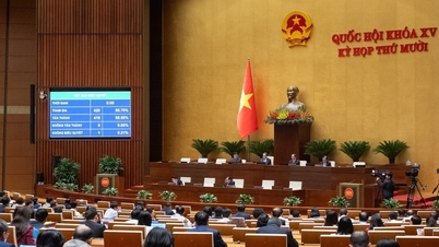 議会は緊急時に特別パトロールチームを設置することに同意した