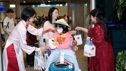 За первые 11 месяцев года в Дананге ночевали 16,5 млн гостей.