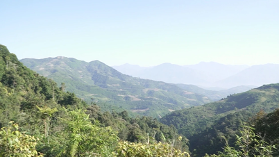 Tram Tau prévient et combat activement les incendies de forêt pendant la saison sèche.