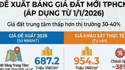 آیا لیست قیمت مورد انتظار زمین در شهر هوشی مین بالا یا پایین است؟