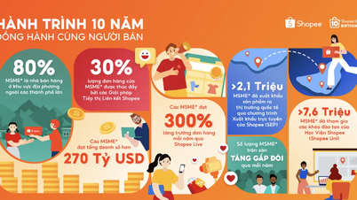 Shopee, सूक्ष्म और लघु व्यवसायों के साथ 10 वर्षों का अनुभव रखता है