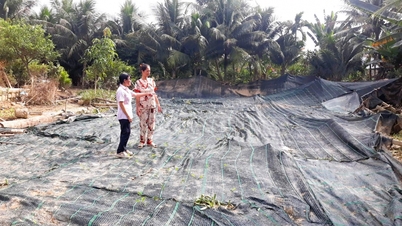 বন্যাদুর্গত এলাকায় উৎপাদন ও ব্যবসা পুনরুদ্ধারে ব্যাংক ঋণ অবদান রাখছে
