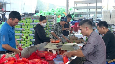 ১১ মাসে, কৃষি, বনজ এবং মৎস্য রপ্তানি ৬৪ বিলিয়ন মার্কিন ডলারেরও বেশি পৌঁছেছে।