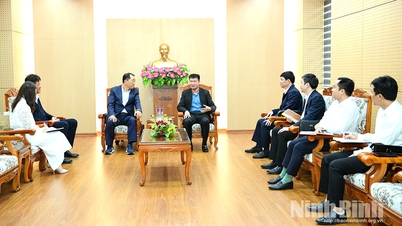 استقبل رئيس اللجنة الشعبية الإقليمية تران هوي توان وعمل مع قادة شركة MCNEX Vina المحدودة.