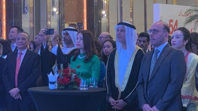 Timbalan Menteri Luar Nguyen Minh Hang: UAE ialah rakan ekonomi penting dan rakan Vietnam yang tulus dan boleh dipercayai.