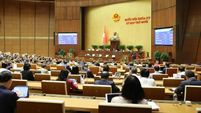 Předseda vlády má právo uplatnit opatření, která nejsou stanovena zákonem, v nouzovém stavu.