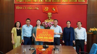 Die Stadt Hue stellt 11 Milliarden VND zur Verfügung, um die Hochwasserschäden in den südlichen Zentralprovinzen zu bewältigen.