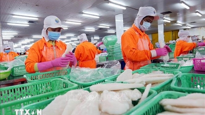 Die Exporte von Agrar-, Forst- und Fischereiprodukten erreichten in elf Monaten über 64 Milliarden US-Dollar und übertrafen damit den Rekordwert von 2024.